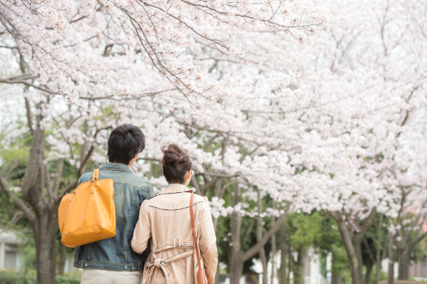 合宿免許のカップルプラン条件